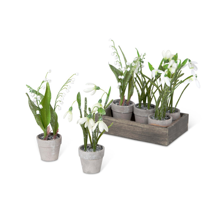 Park Hill 8.75'' Faux Plant in Wood Pot Wayfair